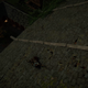 Image for article titled Assassin’s Creed Valhalla’s Glitch Kept Making Eivor Drunk, And Then It Got Weirder